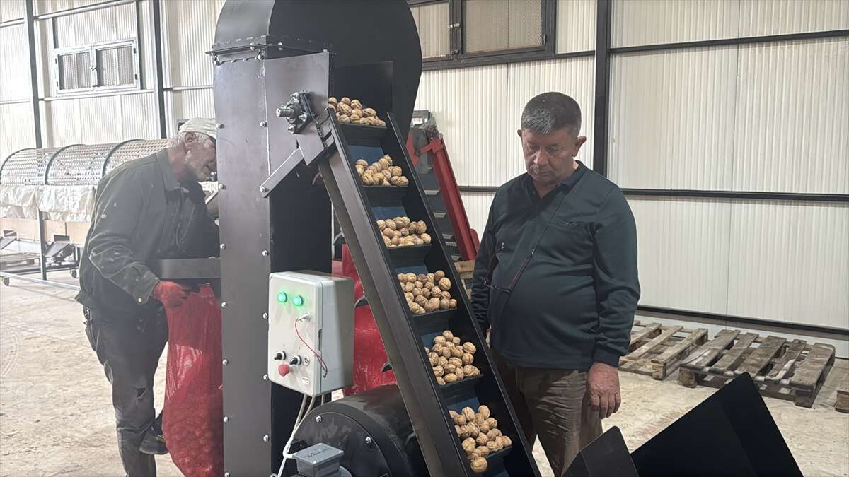 100 bin ağaçtan servet değerinde üretim! Konya ve Antep de sıraya giriyor 7